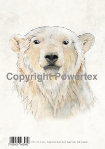 Bear - Animal Design for Powerprint
