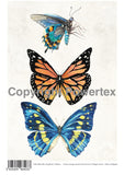 Butterflies - Animal Design for Powerprint