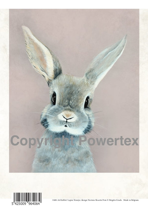 Rabbit - Animal Design for Powerprint